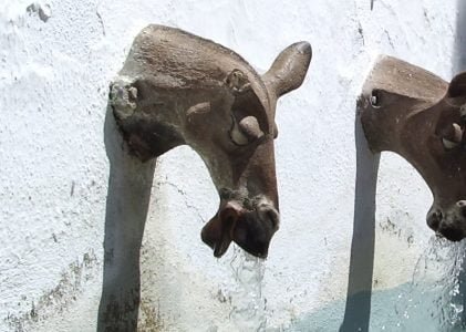 Website niet in één dag klaar