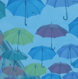 Cursus website maken+ service